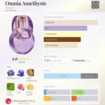 OMNIA AMETHYSTE