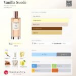 VAINILLA SUEDE